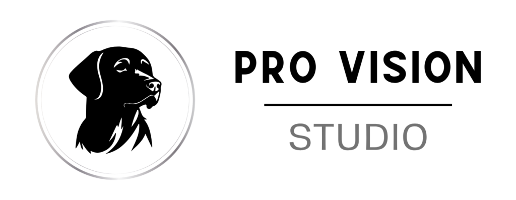 Formulaire de demande de projet pour une expertise en design et personnalisation par Pro Vision Studio dans l Hérault
