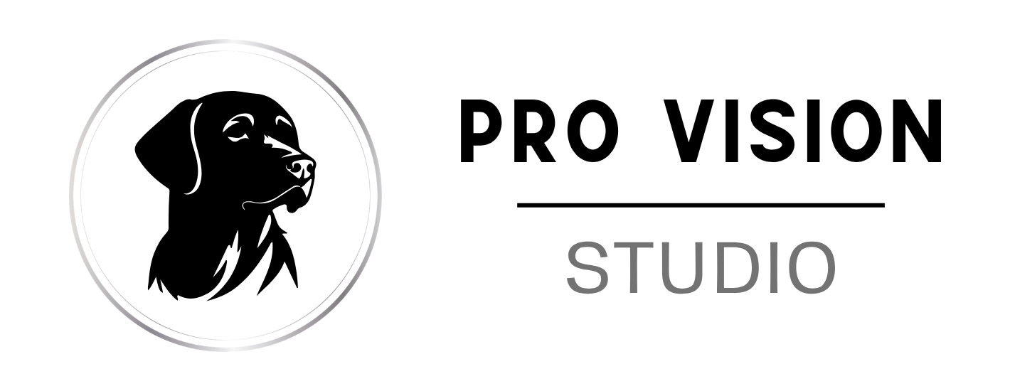 Formulaire de demande de projet pour une expertise en design et personnalisation par Pro Vision Studio dans l Hérault